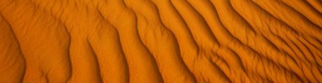 Ambiente Desierto
